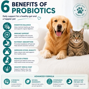 OEM ODM Golosinas Blandas para Perros, Probióticos, Suplemento Prebiótico para Mascotas, Salud Digestiva Intestinal, Multivitamínico 100% Natural, Marca Privada - Product Image 4