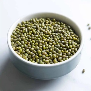 Frijoles Mung Orgánicos Secos Empacados a Granel, Entregados con Estándares de Procesamiento Limpios y Embalaje Seguro para Compradores Mayoristas - Product Image 2