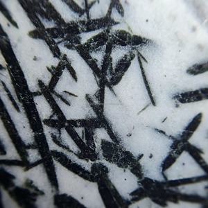 Cabochons en Hornblende Naturelle en Gros, Gemmes Blanches et Noires en Vrac, Formes Mixtes 20mm-40mm 4g-15g pour la Fabrication de Bijoux - Product Image 6