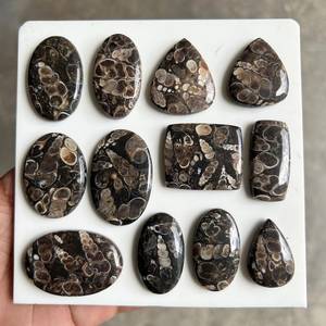 Lot en gros de cabochons en agate Turritella naturelle, pierres précieuses en vrac pour la fabrication de bijoux, pendentifs, bagues, boucles d'oreilles - Product Image 1