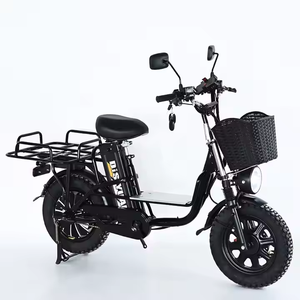 Bicicleta Eléctrica de Reparto 1000W 800W para Adultos, Motocicleta Eléctrica Rápida, ¡Oferta Caliente! - Product Image 1