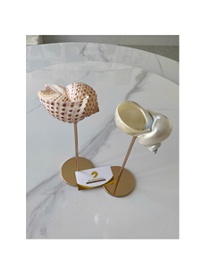 Handmade Natural Snail Shell Wine Cup <b>Goblet</b> Decorative Seashell <b>Glass</b> For Bar Party Wedding Coastal Resort Decoration - Product Image 1