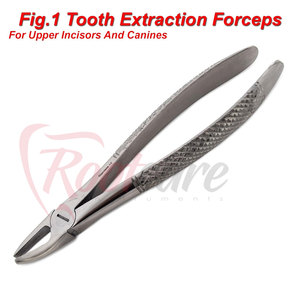 Pinza para Dientes Incisivos Superiores de Acero Inoxidable, Precio al por Mayor - Product Image 6