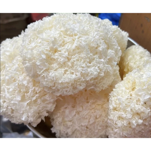 Champignon Tremella séché blanc, ingrédient pour les recettes de plats sucrés, production de boissons, Vietnam - Product Image 1