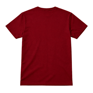 Camiseta de 3 Letras Kappa Alpha Psi Phi Nu Pi, Color Carmesí o Granate, Ropa de Fraternidad Griega con Diseño Clásico, Comodidad y Estilo Premium - Product Image 5