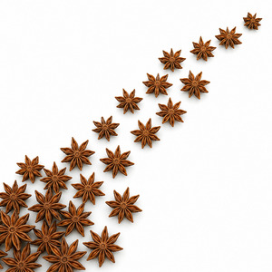 Anís Estrellado a Granel, Delicioso, de Calidad Internacional, a Bajo Precio, Suministro Directo de Fabricante Vietnamita, Gran Venta - Product Image 2