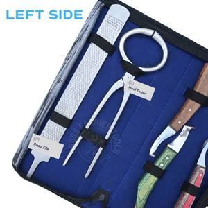 Kit d'outils de fermeur pour le soin des sabots équins avec boucle de détection d'abcess, testeur de sabot, détecteur de douleur, couteau et râpe premium à extrémité en laiton courbée verte - Product Image 4