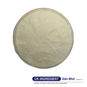 Premium High Quality Honeydew Juice Powder Halal OEM B2B <b>Best</b> Supplier Guarantee Top Sale Refreshing Melon Flavor Beverage Mix - Product Image 3