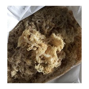 EN TENDENCIA: Musgo Marino Seco para Preparación de Bebidas y Ingredientes de Bar, Grado Alimenticio, para Espesar Alimentos - Product Image 4