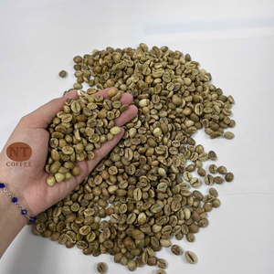 Café Vert Robusta du Vietnam de Qualité Supérieure – Vente en Gros, Fournisseur Direct, Marque Privée OEM, Meilleur Prix Compétitif - Product Image 2