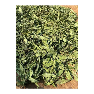 Hojas de Stevia Secas, Hoja Entera Cruda, Hierba Natural, Especias y Hierbas Individuales, Ingrediente de Té de Stevia Rebaudiana Verde, Vietnam - Product Image 2