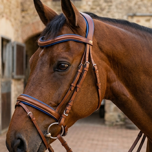 Custom English Equestrian <b>Black</b> Leather & Tan Soft Padded Contrast Anatomic Horse Bridle Tack <b>Harness</b> Set - Product Image 6