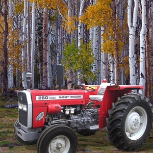 Tracteur Massey Ferguson MF 260 - Product Image 1