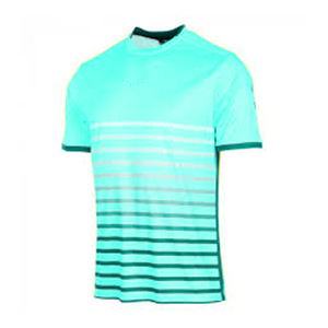 เสื้อยืดคอกลมแขนสั้นลายทางสีเหลืองน้ำเงินสำหรับผู้ชาย ทรงปกติ สไตล์ลำลอง พิมพ์ลายแบบซับลิเมชั่น ผ้าโพลีเอสเตอร์ 100% แห้งเร็ว - Product Image 4