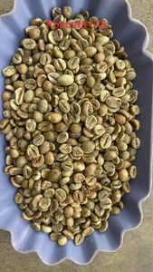 High Quality Grade 1-AA 97% Mature Clean Wet Polish Process ROBUSTA GREEN <b>COFFEE</b> <b>BEANS</b> for Roasting 60kg/Jute - Product Image 6
