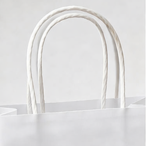 ถุงกระดาษคราฟท์ย่อยสลายได้แบบกำหนดเองพร้อมหูหิ้วแบบบิดเกลียว สีน้ำตาลหรือสีขาว สวยงาม เหมาะสำหรับของขวัญ การจัดส่ง หรือร้านอาหาร - Product Image 3