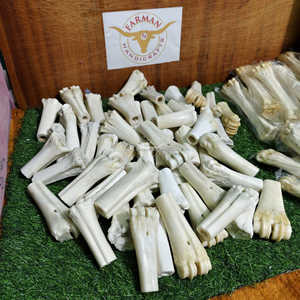 Hueso de pierna de búfalo blanco natural en forma de medio tubo para artesanías vikingas y tradicionales a precio económico. - Product Image 2