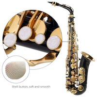 Starway OEM ODM Black Alto Saxophone E-Flat Low Moq Professional Concert Wind Musical Instruments for Band