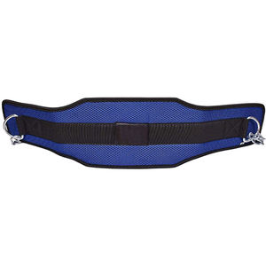 Weightlifting Nylon Dip Belt Custom Logo Non-Slip Waterproof Design for Fitness Training Gym Workout Weightlifting Bodybuilding - Product Image 4