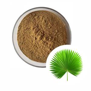 Premium Saw Palmetto Powder 100% Pure Serenoa Repens Herbal Supplement for Supports Men’s Health, Hair Strength & Wellness - Product Image 5
