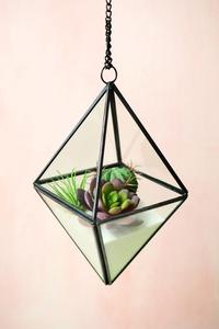 Terrario Decorativo de Vidrio y Cristal Personalizado, Ecológico, para Plantas, Musgo, Flores, Manualidades, Decoración del Hogar y Jardín - Product Image 4