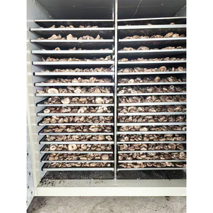 Commercial Big Dry Fruit Légumes Graine Sandlot Oignon Industriel Séchoir <span class=keywords><strong>À</strong></span> Fruits Secs Alimentaire <span class=keywords><strong>Sèche</strong></span>-<span class=keywords><strong>Pompe</strong></span> <span class=keywords><strong>À</strong></span> <span class=keywords><strong>Chaleur</strong></span> - Product Image 4