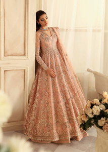 Robe de mariée pakistanaise sur mesure pour femmes musulmanes, avec broderie et imprimé, robe pakistanaise pour occasions spéciales - Product Image 5