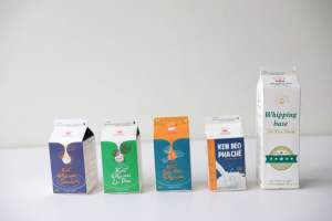 Crema No Láctea Premium para Bebidas, Alta Calidad, HALAL, OEM/ODM, Empaque Personalizable, para Café Blanco, Té con Leche, 500G, Buen Precio - Product Image 6