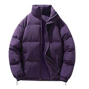 Veste matelassée à fermeture éclair avec logo personnalisé OEM pour hommes, grande taille, épaisse, vêtements de sport d'hiver avec col montant, vente en gros - Product Image 1