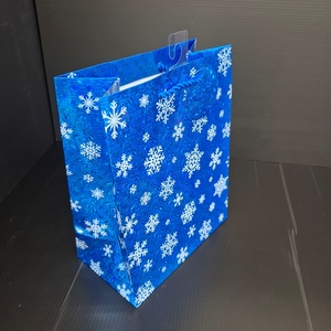Bolsa de regalo holográfica impresa grande ligera de primera calidad - Product Image 3