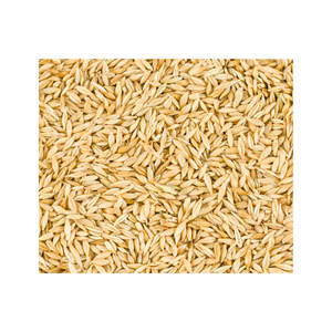 Malt d'orge séché de qualité supérieure pour l'alimentation animale – Graines en vrac pour la nutrition du bétail et l'exportation agricole - Product Image 1