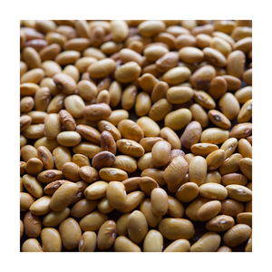 Frijoles Amarillos de Calidad Premium Ofrecidos para Producción Alimentaria a Gran Escala y Suministro Minorista - Product Image 3