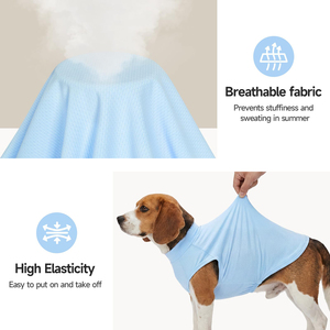 Camiseta Lisa para Mascotas al por Mayor, Chaleco de Algodón Suave para Perros, Ropa Flexible para Cachorros, Ropa Ligera para Gatos para Uso Diario - Product Image 3