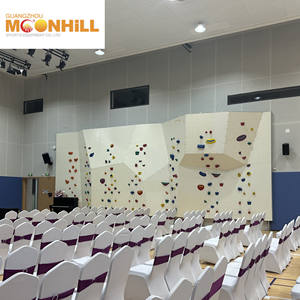 Kletterwand Erwachsene Klettergerüst Kletter struktur Spiele für Indoor-Spielplatz - Product Image 3