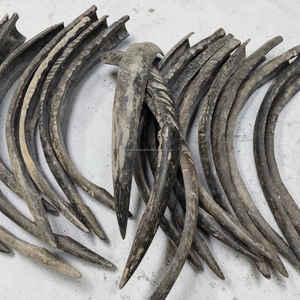 Élégante pièce en corne de buffle moderne et écologique, avec embout, fabriquée à la main, longue (24-27 pouces) pour la vie quotidienne, au prix de gros - Product Image 2