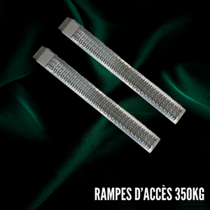 Rampe di accesso zincate 350 kg - Product Image 1