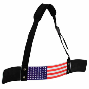 Arm Blaster Professionnel pour la musculation, conception robuste en aluminium, support de qualité supérieure, vente en gros OEM - Product Image 1