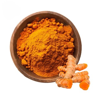 Superior Curcumin Powder Food Grade High Purity Curcumin Powder For Food & Beverage Applications Supports Healthy Lifestyle - Product Image 1