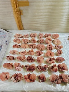 Lote de Stilbites Rojos Naturales y Hermosos, Colección de Cristales Premium para Exhibición, Decoración, Sanación y Regalo - Product Image 2