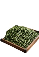 Chicchi di Caffè Robusta Verde di Prima Qualità Grado 1 S16, S18 - Naturale di Alta Qualità dal Vietnam, Miglior Prezzo Pronto per l'Esportazione