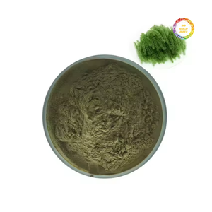 Poudre de raisin de mer pour la transformation alimentaire et la préparation d'aliments pour animaux - Product Image 5