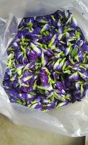 Flor de Mariposa Seca de Alta Calidad, Entera, para Preparar Té, Bebidas y Colorear Bebidas, Vietnam - Product Image 2