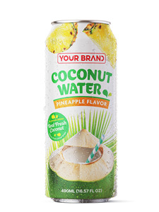 Eau de coco naturelle aromatisée à l'ananas 490 ml, jus de coco frais véritable en canette aluminium, fabricant de boissons en gros - Product Image 1