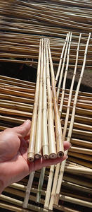 MEJOR PRECIO Postes de Bambú Azul Lotus 2025 Postes de Bambú para Paisajismo - Product Image 4