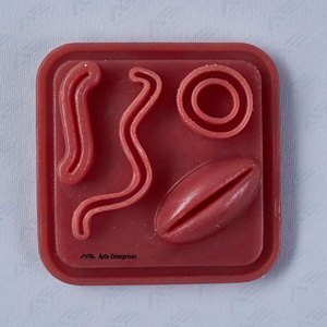 Kit complet de pratique de suture pour la formation d'étudiants en médecine Kits de suture Odm Oem Medic Instruments Équipements médicaux - Product Image 6