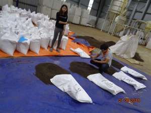 [Fourisseur fiable] Vente directe d'usine 100% pur poivre noir naturel séché de haute qualité certifié ASTA Agrikim - Product Image 3