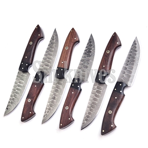 6-Piece Damascus Steel Hunting Knife Set Wood Handle <b>Drop</b> Point Bevel Blade OEM/ODM Kitchen Cutlery Gift <b>Box</b> Includes - Product Image 2