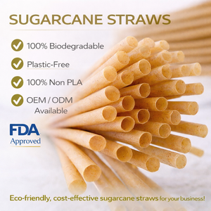 Pailles individuelles biodégradables et compostables en bagasse de canne à sucre, fibres végétales, pour boissons, camping, fabriquées en canne à sucre - Product Image 1