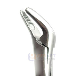 Forceps d'extraction dentaire manuels en acier inoxydable réutilisables, haute qualité, en stock - Product Image 6