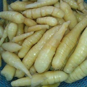 Poudre d'amidon d'arrowroot de qualité alimentaire supérieure, pureté élevée, agent épaississant naturel blanc pour sauces et pâtisseries, exportateur Vietnamien - Product Image 4